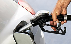 Decrease in total sales of petroleum products